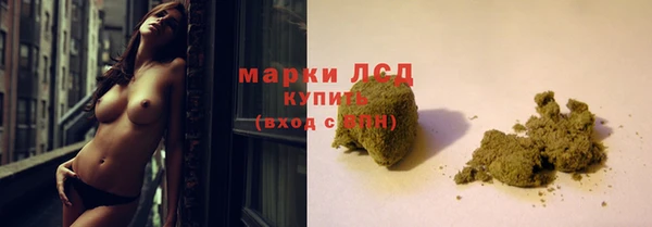 spice Алзамай