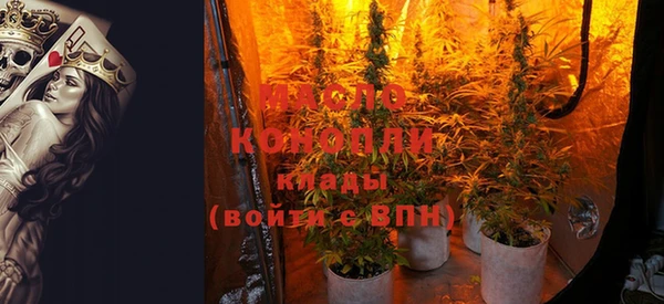 spice Алзамай